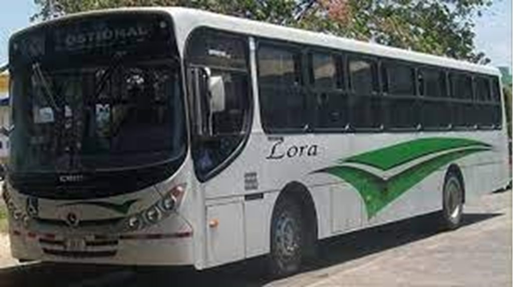 Servicios de Buses de Santa Cruz a San José