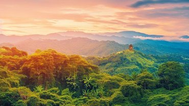 Agencia de Bienes Raíces