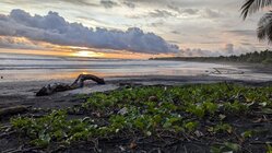 Villa Marbe 1  Beach Retreat 