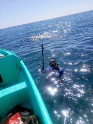 Tour de Snorkeling en Panga para hasta 4 Personas
