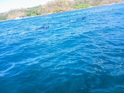 Tour de Snorkeling en Panga para hasta 4 Personas