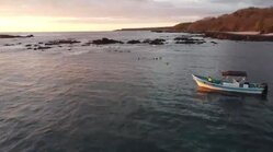 Tour de Snorkeling en Lancha para hasta 9 Personas