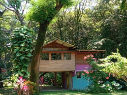 Casa Pitahaya