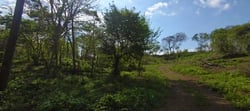 9621 m2 Lot - Walk to Marbella Beach - Ready to Build