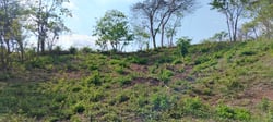 9621 m2 Lot - Walk to Marbella Beach - Ready to Build