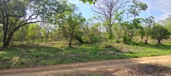 9621 m2 Lot - Walk to Marbella Beach - Ready to Build